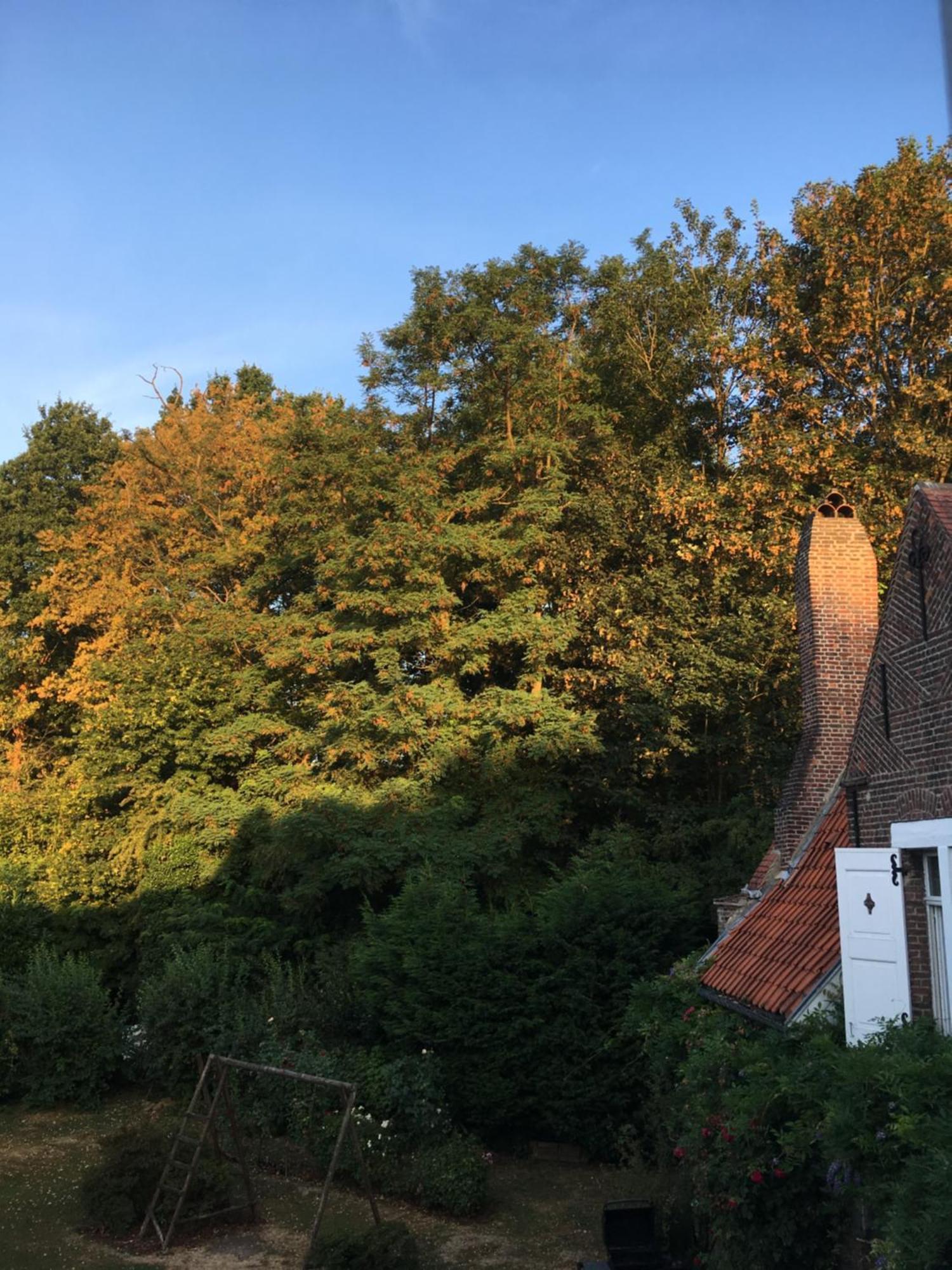 Le Pigeonnier, Maison D'Hotes Et Spa Croix Bagian luar foto